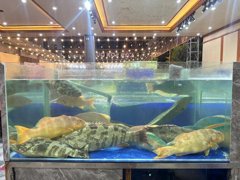 hồ cá quán côn sơn