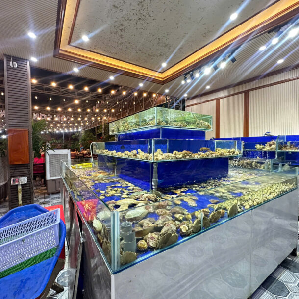 hồ óc côn sơn quán