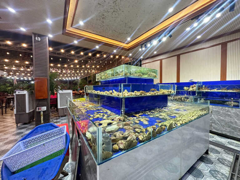 hồ óc côn sơn quán